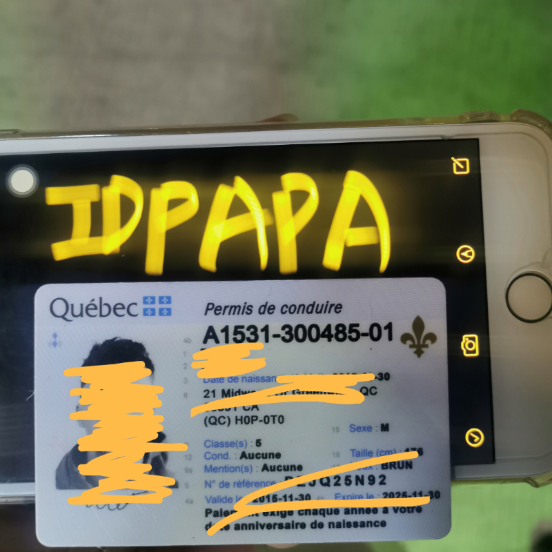fake id website at idpapa